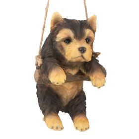YORKIE DOG HANGING